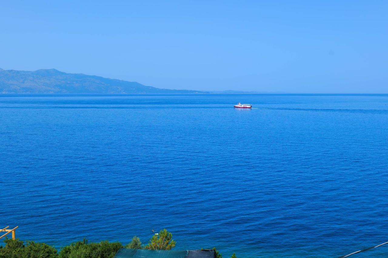 Ansel Home Saranda Extérieur photo